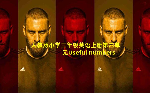 人教版小学三年级英语上册第六单元Useful numbers